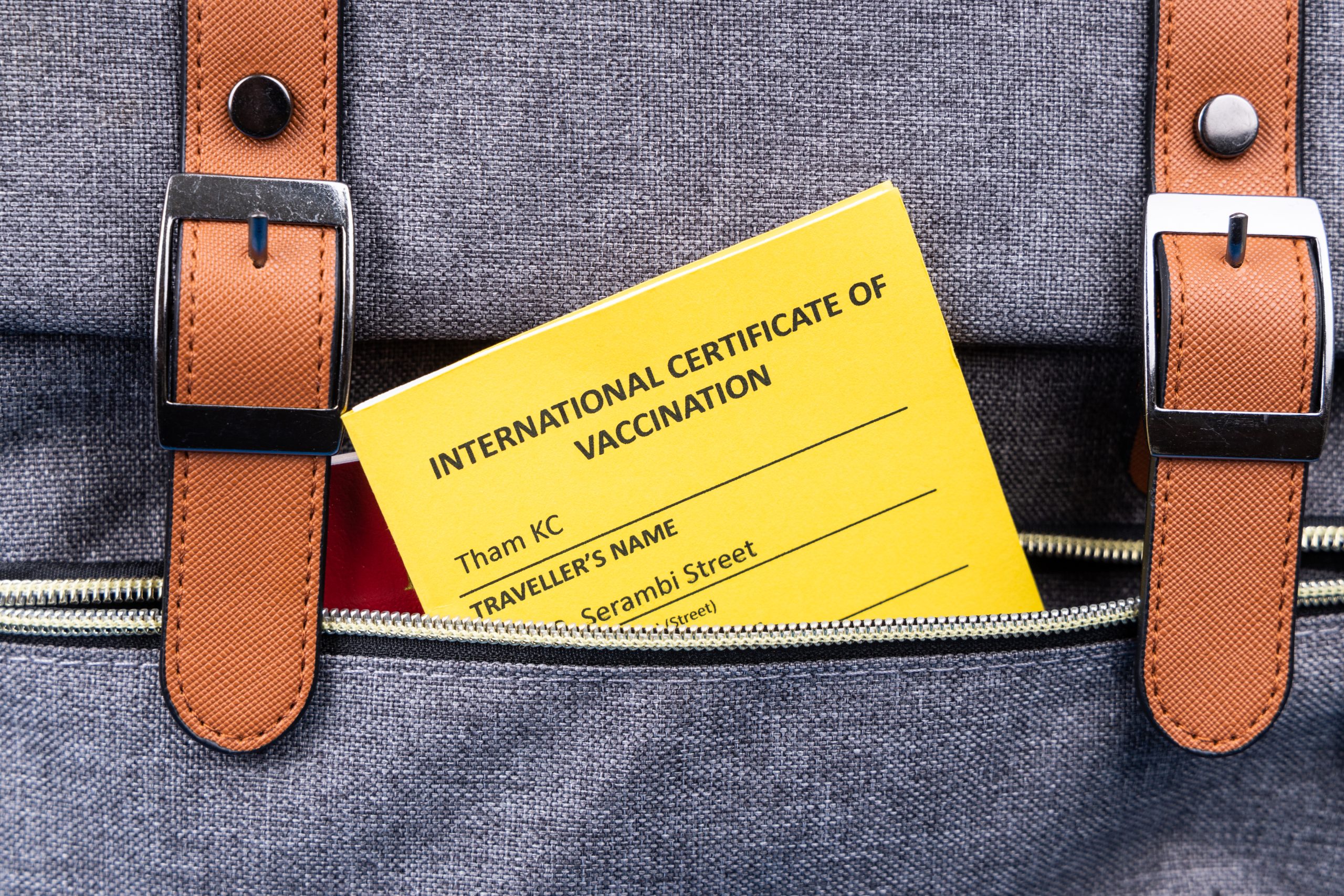 Conceptual of International Covid-19 Vaccine certifucate placed into hand luggage pocket before boarding